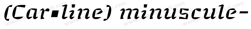 (Caroline) minuscule字体转换